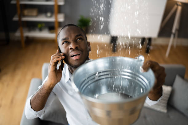 Best Water damage cleanup near me  in Hillsville, VA