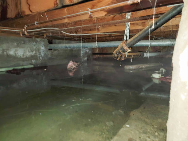 Best Water damage restoration near me  in Hillsville, VA