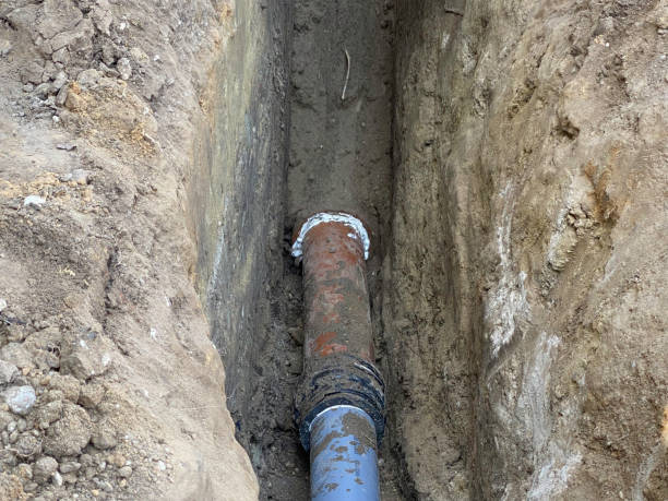 Best Professional water damage repair  in Hillsville, VA