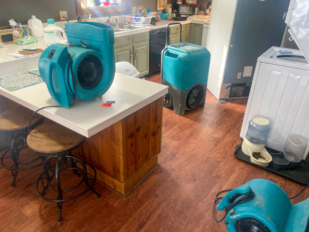 Best Commercial water damage restoration  in Hillsville, VA