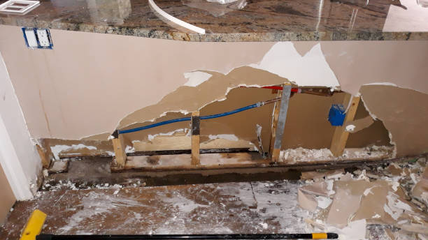 Best Mold removal after water damage  in Hillsville, VA