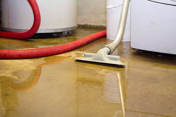 Best Water damage cleanup near me  in Hillsville, VA