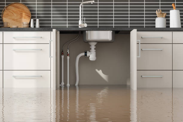 Reliable VA Water damage restoration Solutions